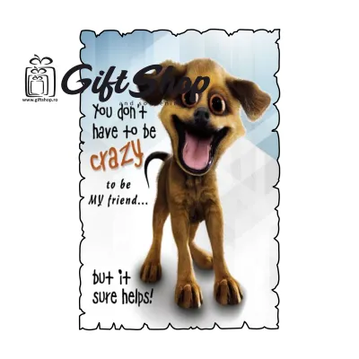 You don`t have to be crazy, magnet frigider mgs073